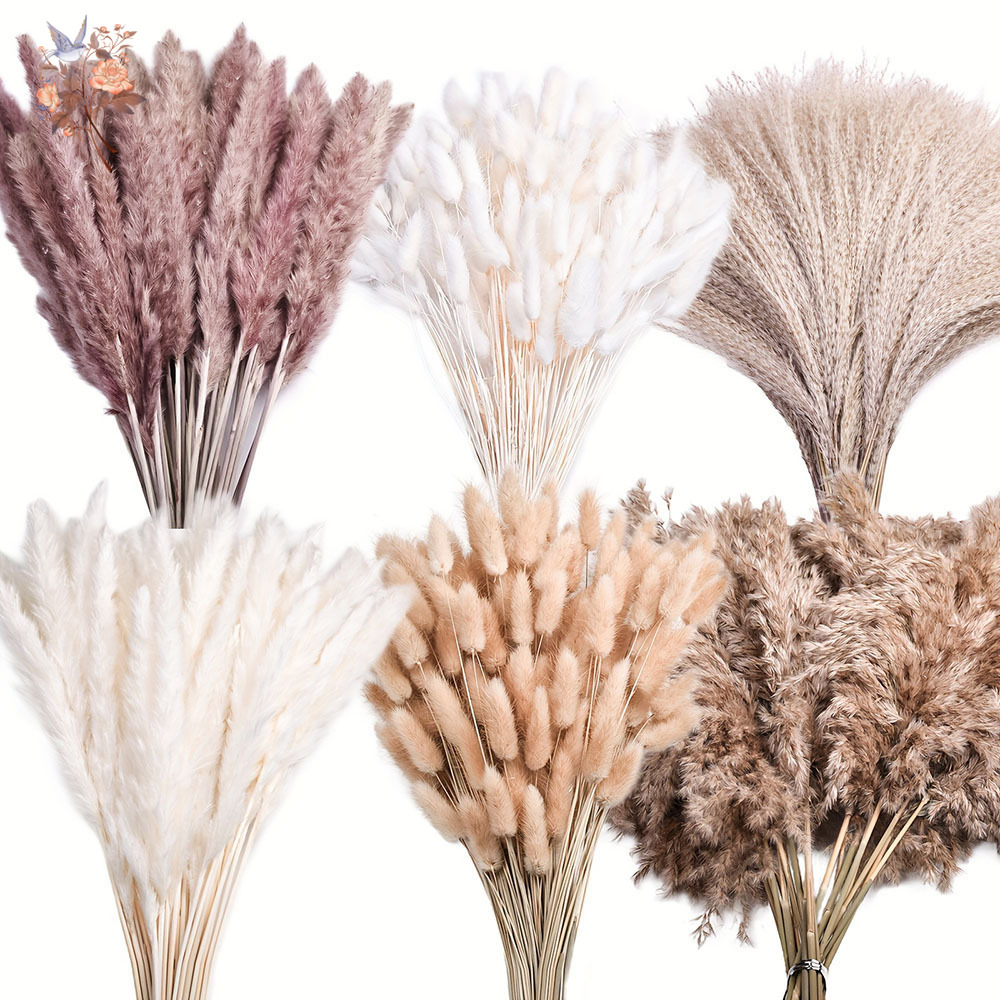 Pampas Grass Decor - 320本入り ふわふわの大型パンパスグラス ドライフラワーブーケ バニーテール リード ナチュラル