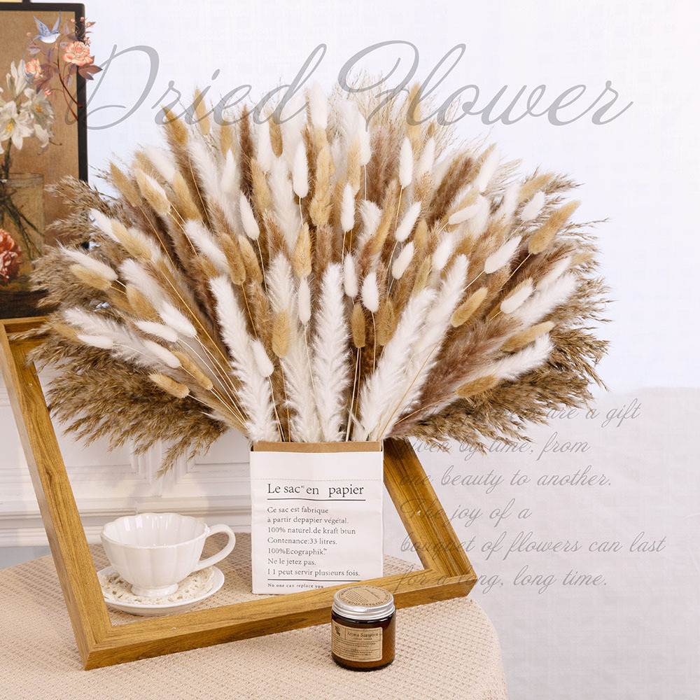 320本入り ふわふわの大型パンパスグラス ドライフラワーブ - Pampas Grass Decor のレビューと価格